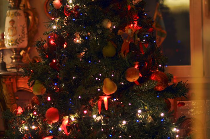 Colourful Christmas trees with fruits (© Portanapoli.com)